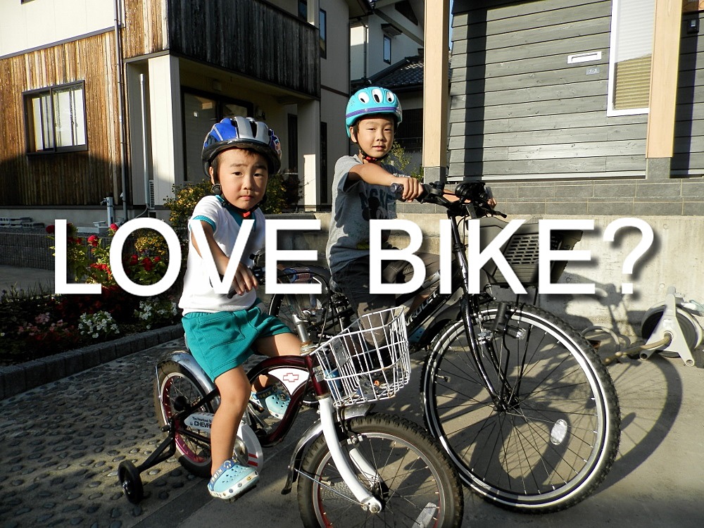 bike cycle shop